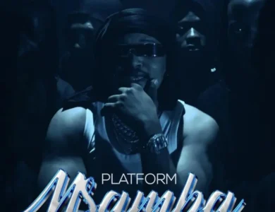 lava lava x diamond platnumz platform msamba