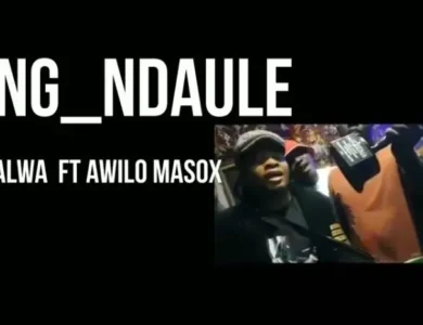 ariel zm ft neo slayer wamwiduka ft awilo masox ndaule