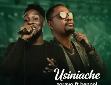 benpol x zoravo usiniache