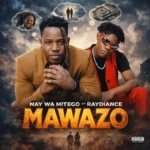 nay wa mitego ft raydiance mawazo