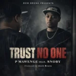 p mawenge ft snoby trust no one