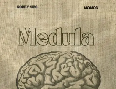 Robby Vibe Ft Momox KE – Medula