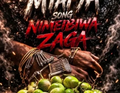 mtafya nimeibiwa zaga